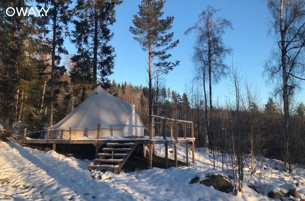 campanyon.com campanyon.com